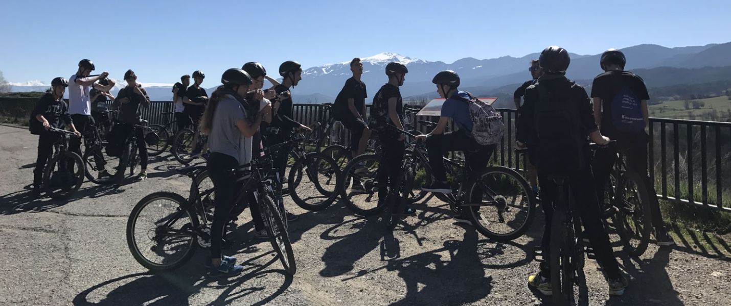 btt